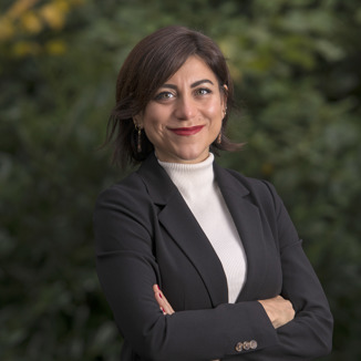 Dr Gokce Mete