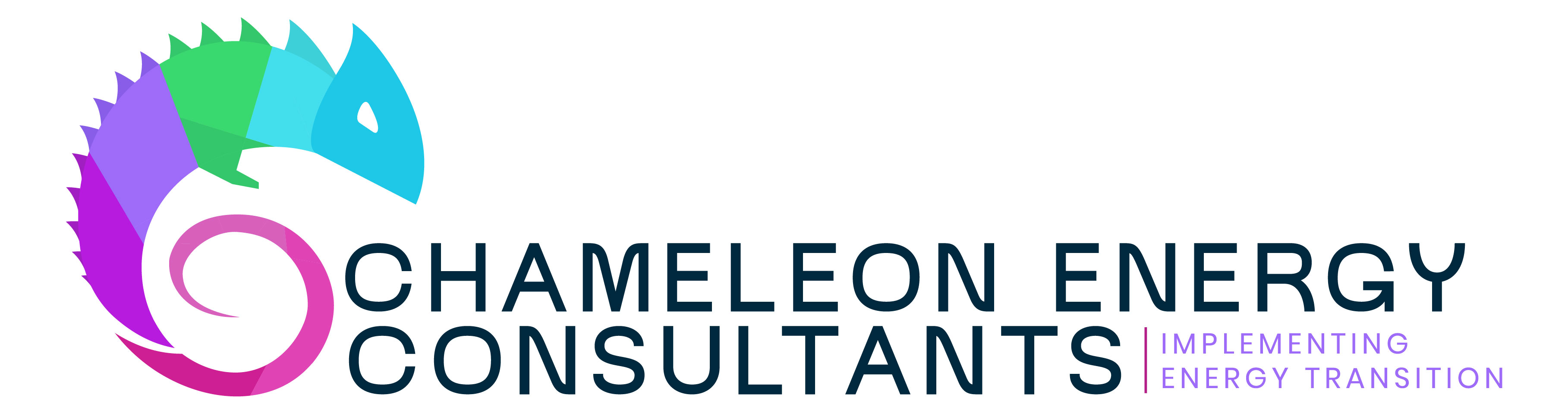 Chameleon Energy Consultants